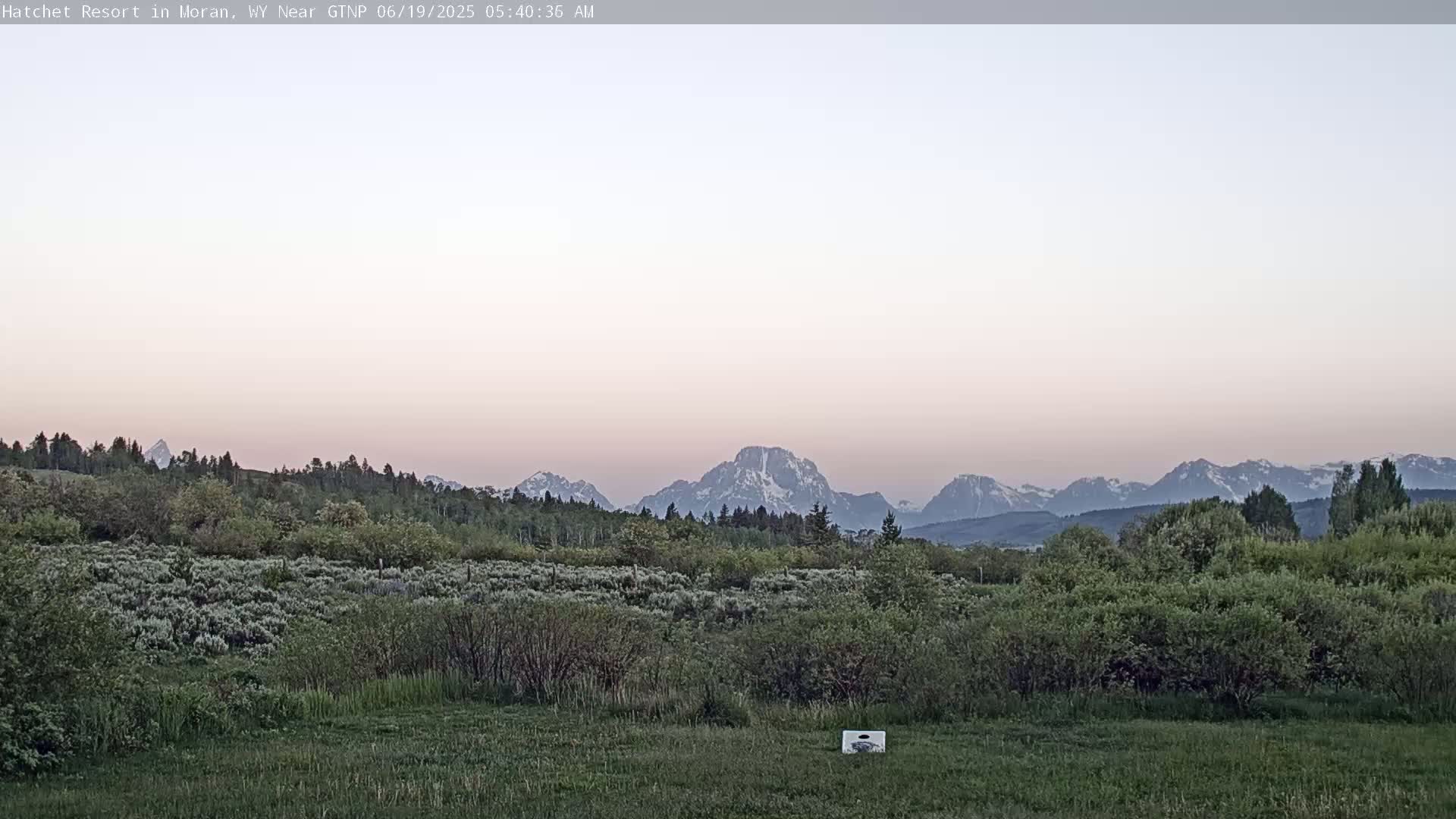 A grassy field with low shrubs and trees in the foreground, overlooks a line of mountains under a pale pink and white sky at dawn.