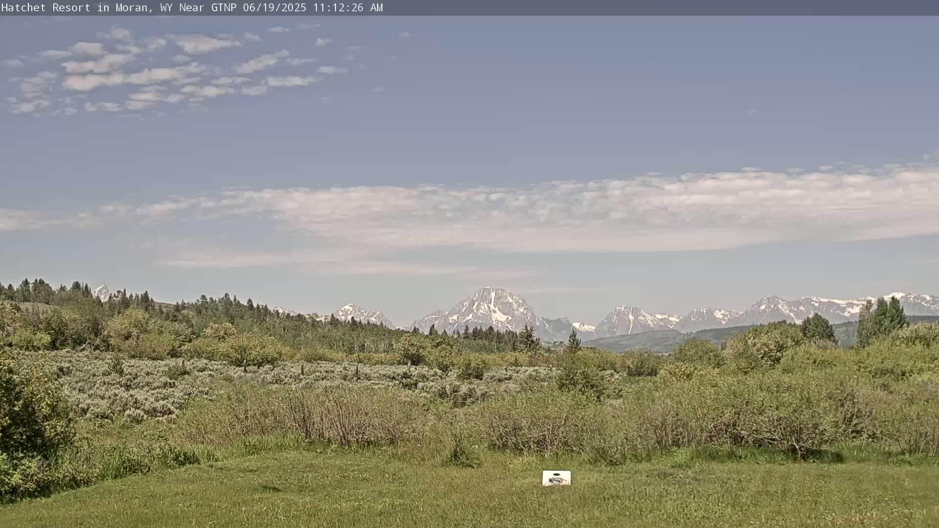 A partly cloudy sky overlooks a field of green vegetation and trees, with snow-capped mountains in the background.