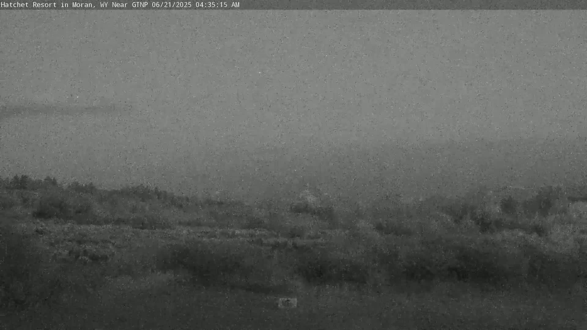 A hazy, overcast morning reveals a low-lying landscape of dark vegetation.