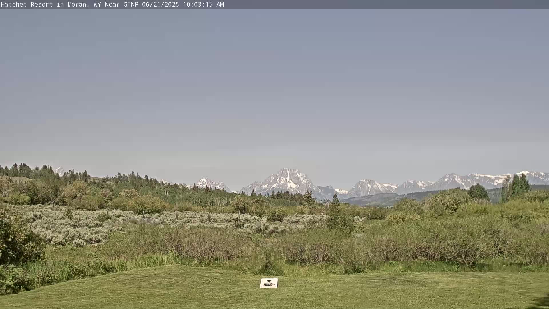 A grassy field stretches towards a line of green trees and shrubs, beyond which snow-capped mountains rise under a clear, light-grey sky.