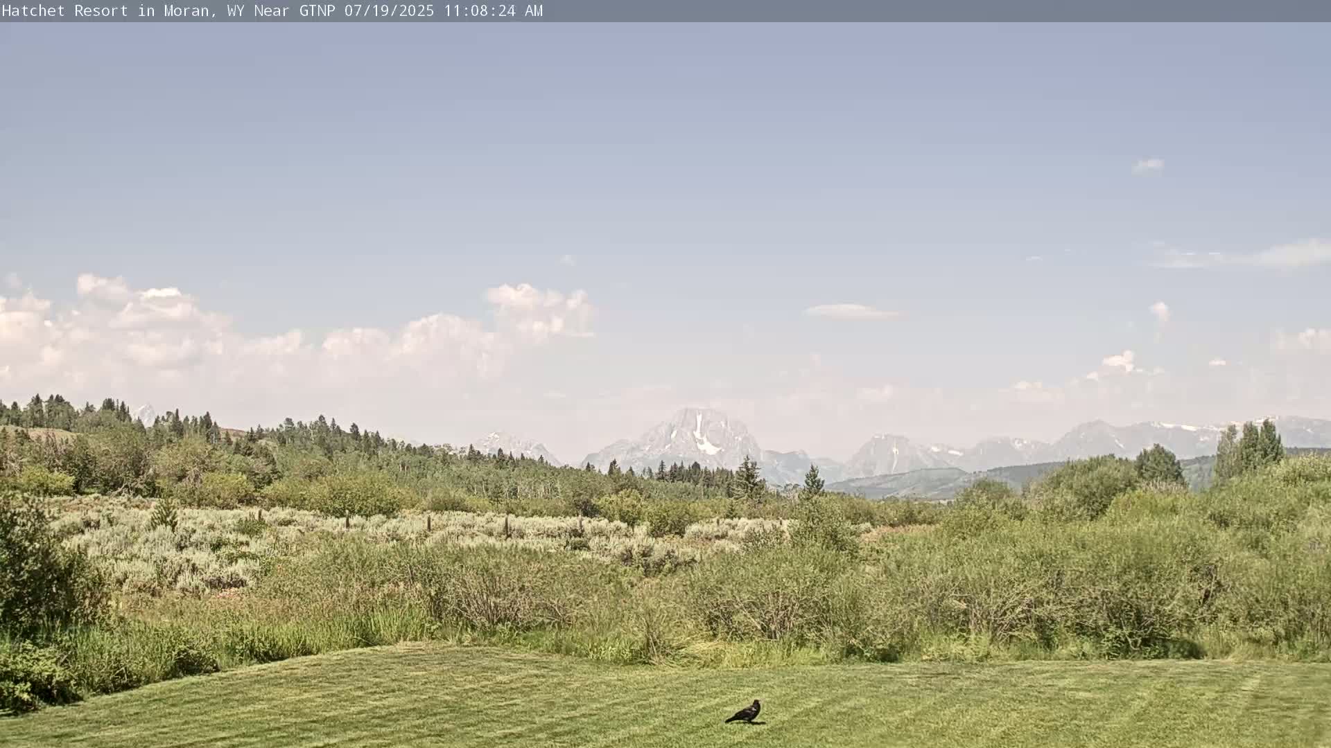 Moran, Hatchet Campground Live Cam - Moran, Teton, Wyoming, USA