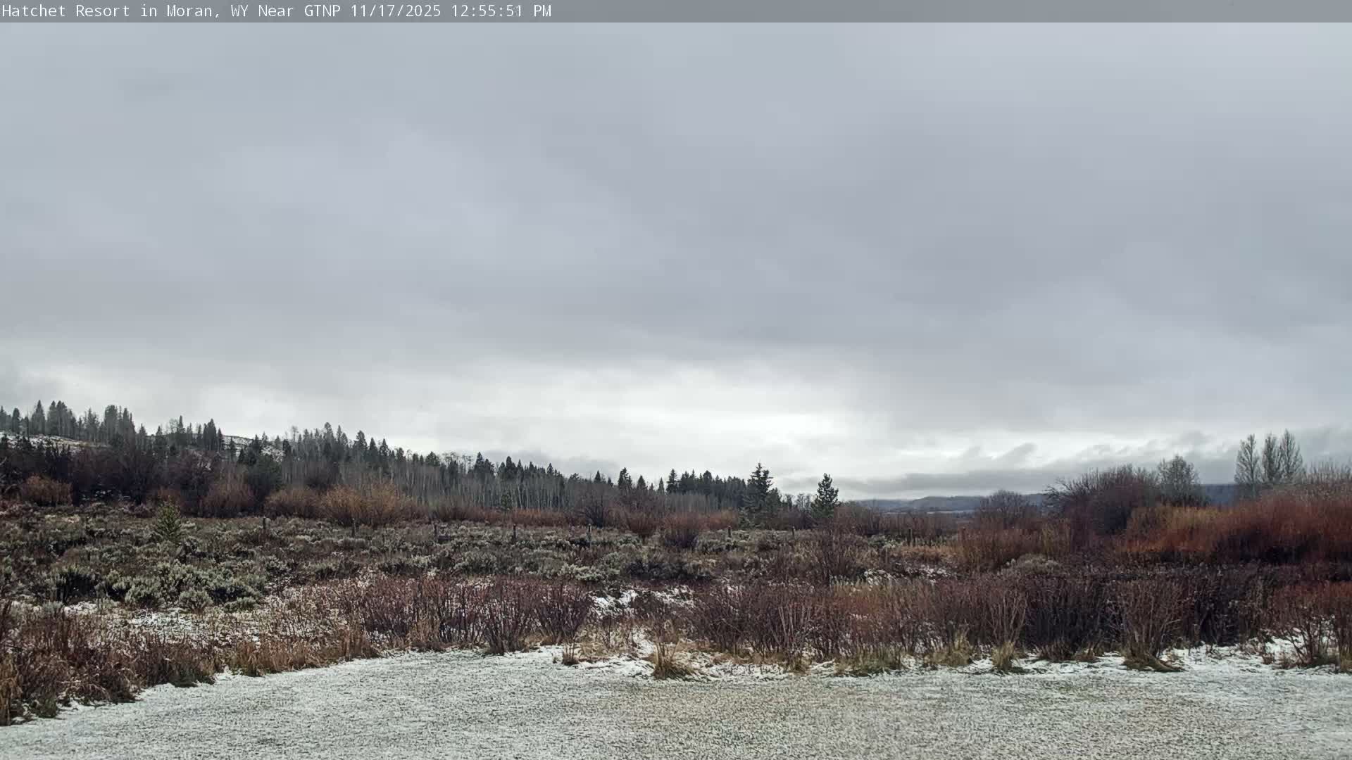 Moran, Hatchet Campground Live Cam - Moran, Teton, Wyoming, USA