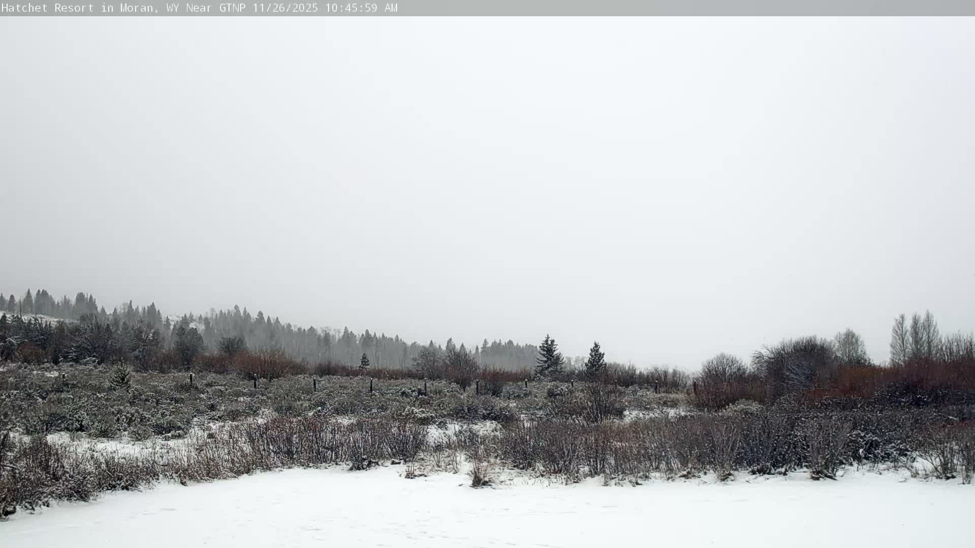 Moran, Hatchet Campground Live Cam - Moran, Teton, Wyoming, USA