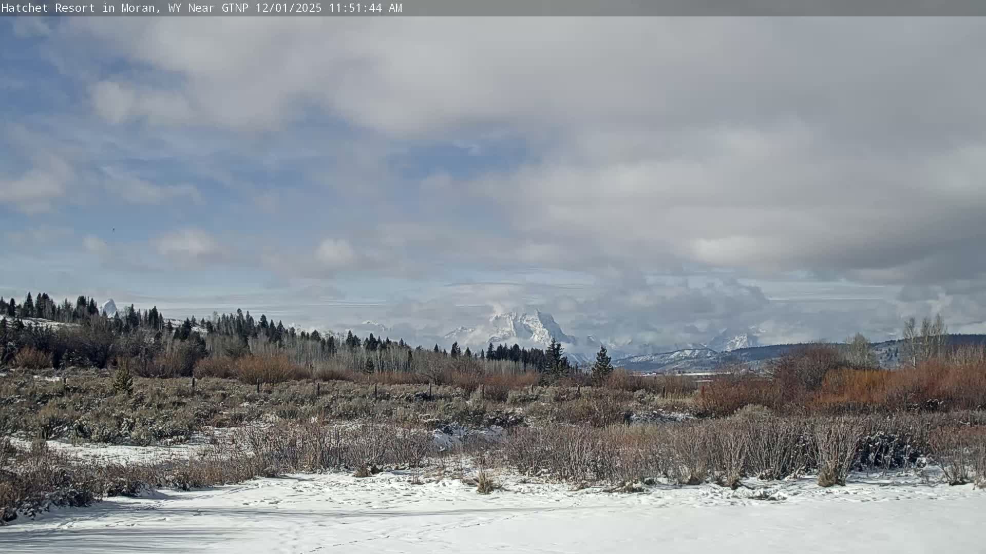 Moran, Hatchet Campground Live Cam - Moran, Teton, Wyoming, USA