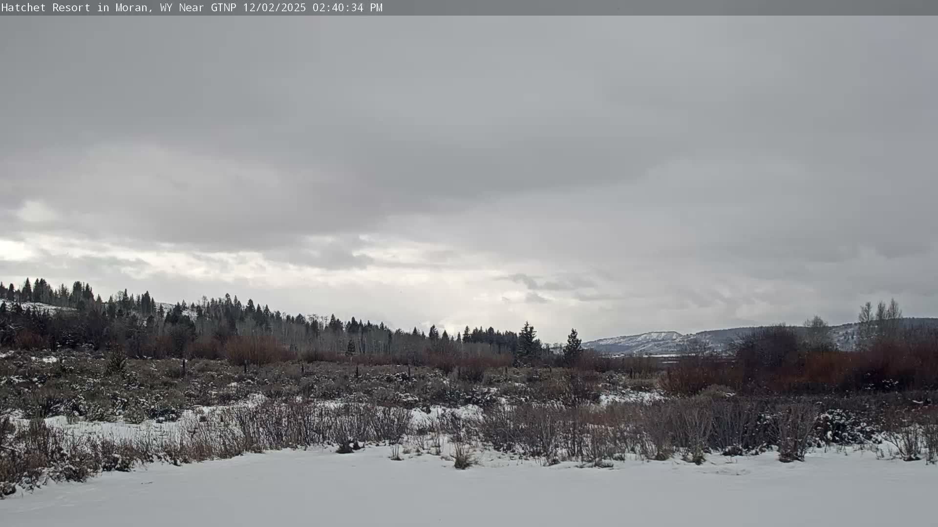 Moran, Hatchet Campground Live Cam - Moran, Teton, Wyoming, USA