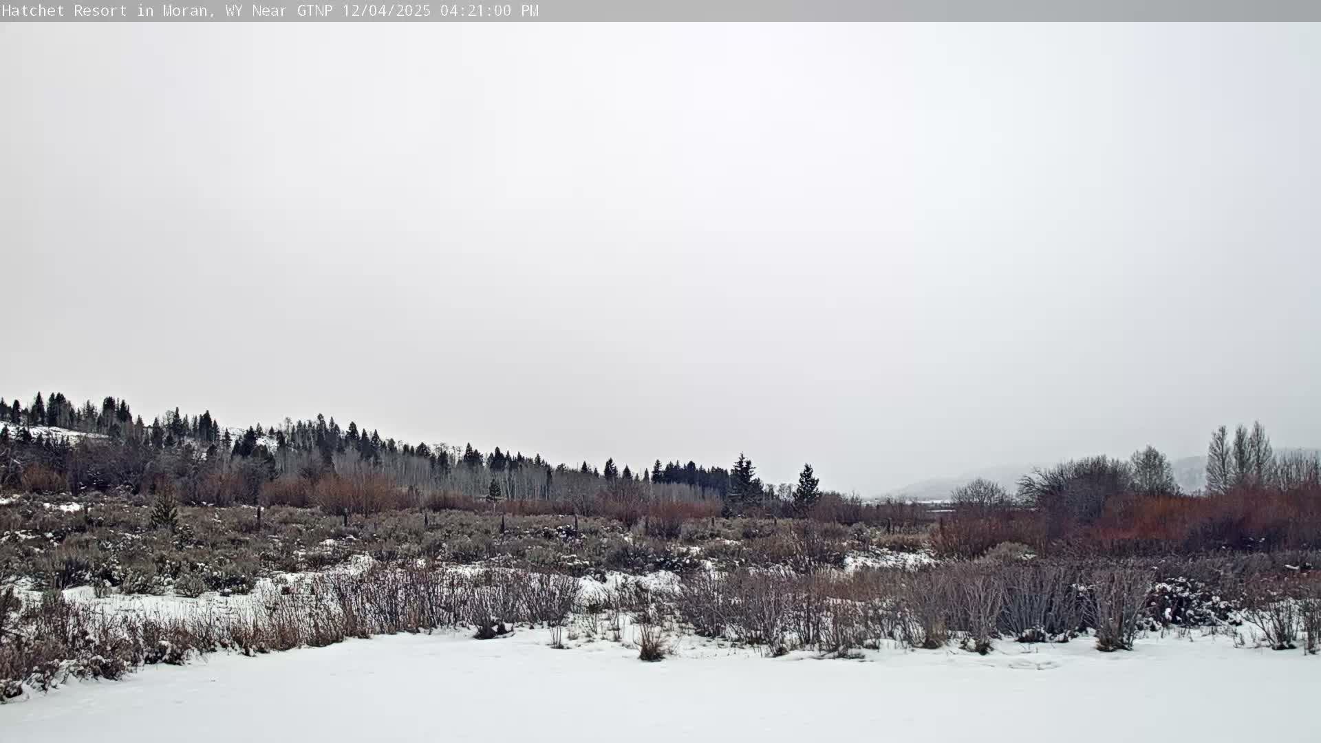 Moran, Hatchet Campground Live Cam - Moran, Teton, Wyoming, USA