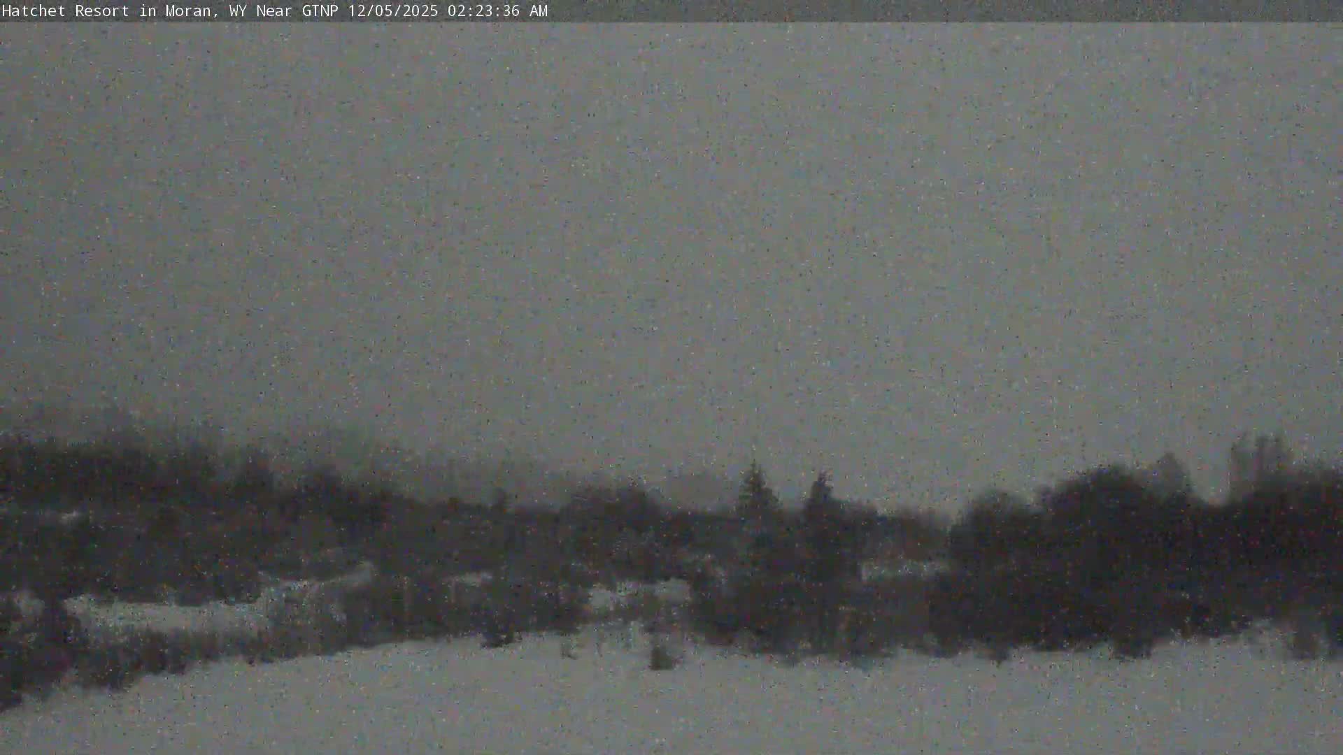 The image depicts a dark, snowy landscape with obscured trees and brush in the distance, under an overcast sky with falling snow and low visibility during the early morning.