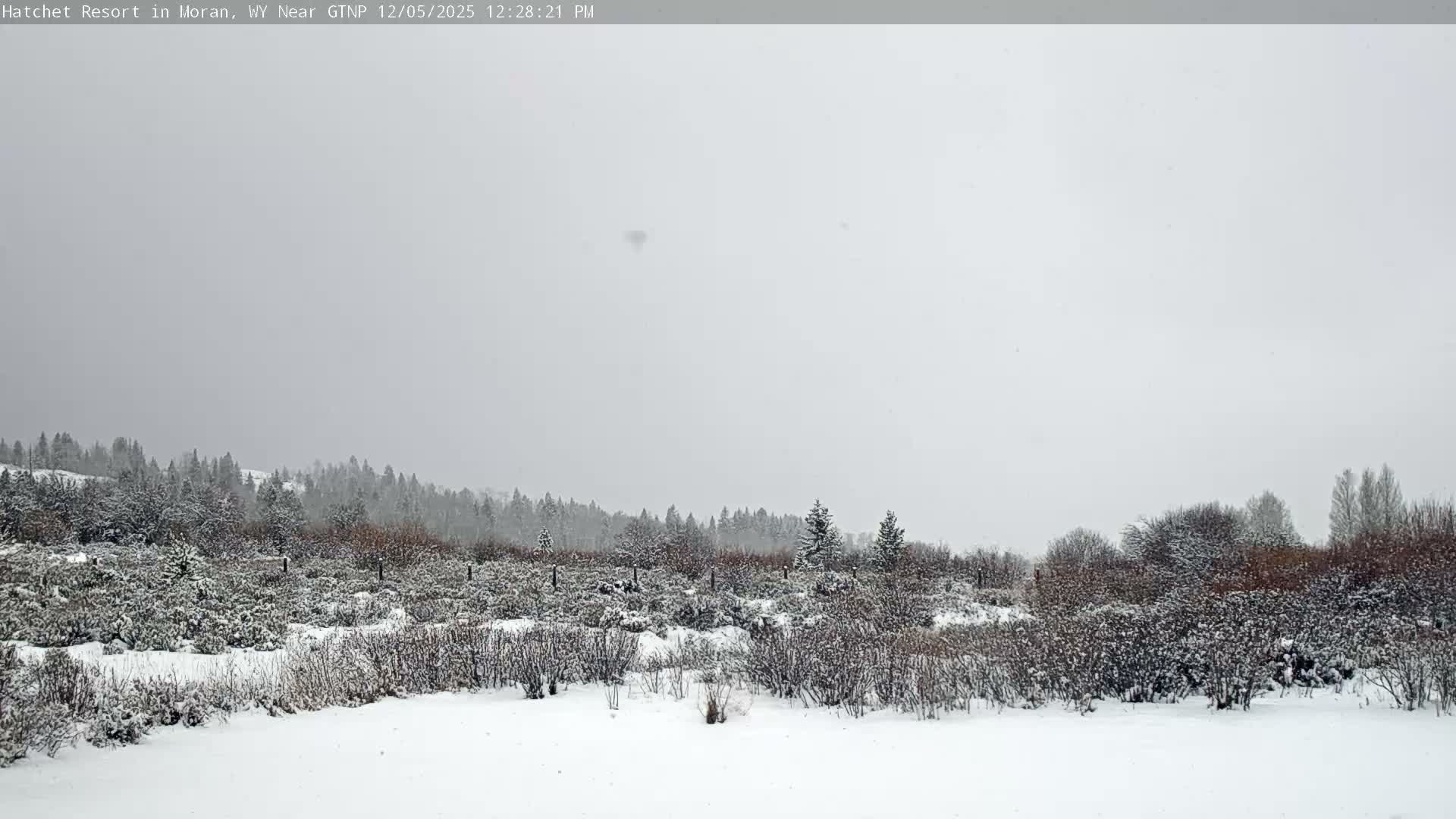 Moran, Hatchet Campground Live Cam - Moran, Teton, Wyoming, USA