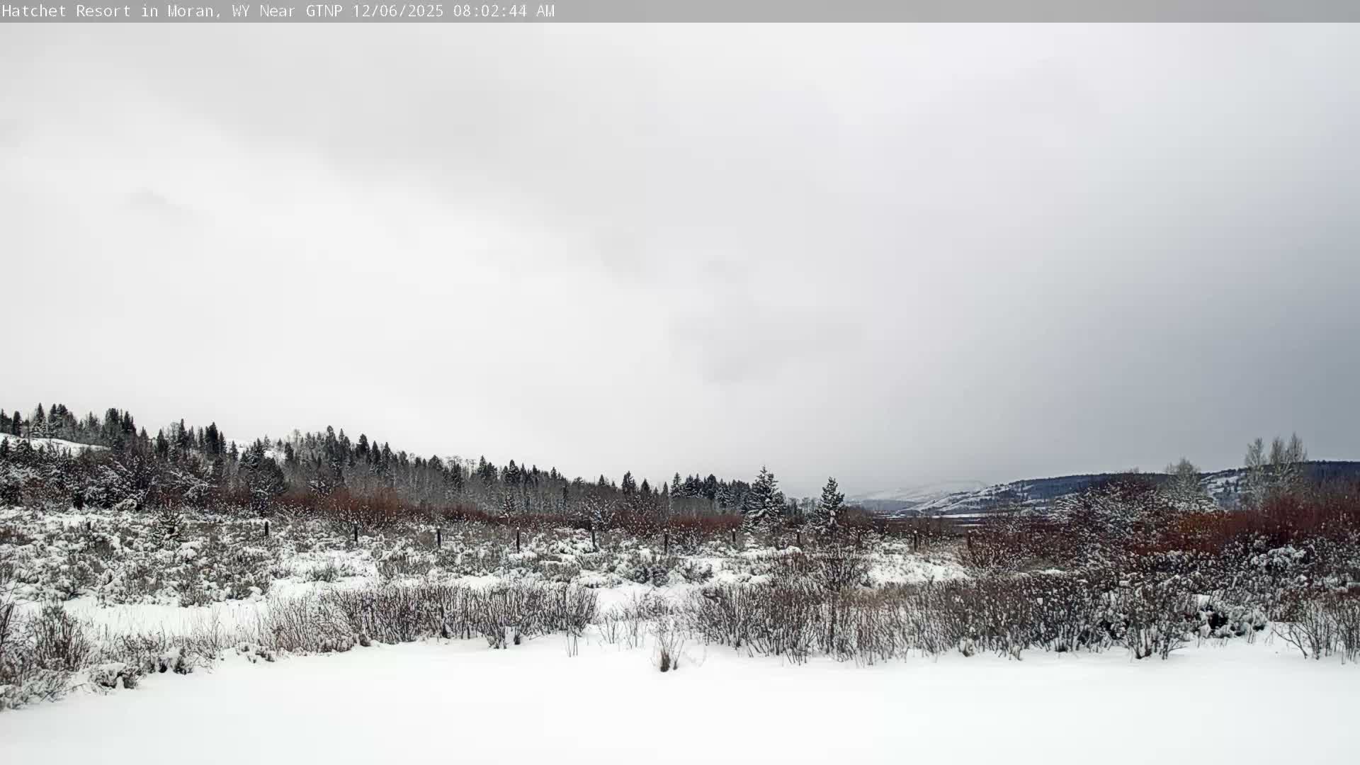 Moran, Hatchet Campground Live Cam - Moran, Teton, Wyoming, USA