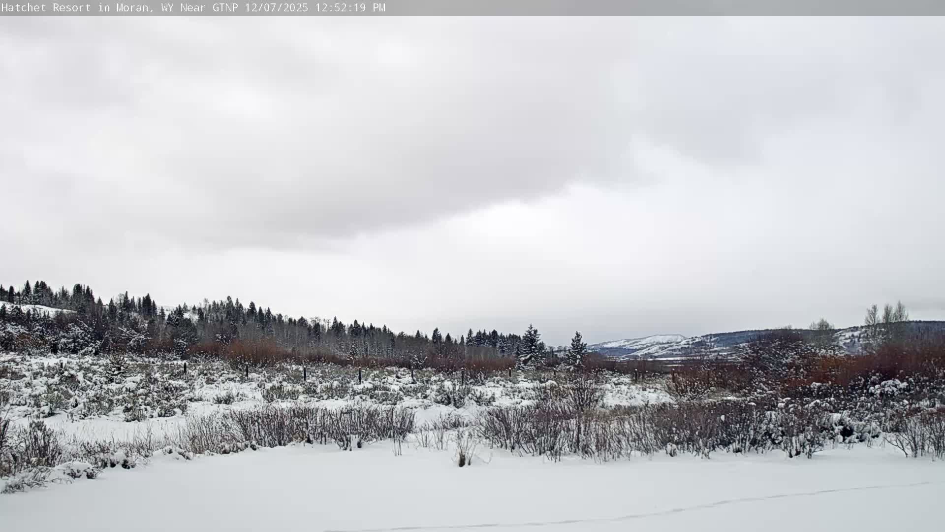 Moran, Hatchet Campground Live Cam - Moran, Teton, Wyoming, USA