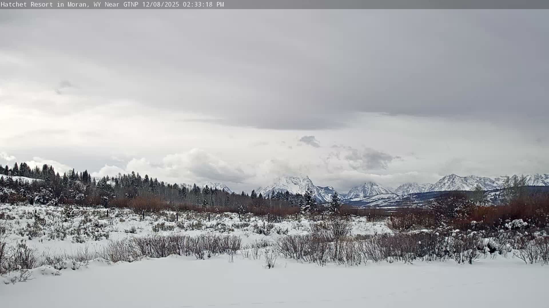 Moran, Hatchet Campground Live Cam - Moran, Teton, Wyoming, USA
