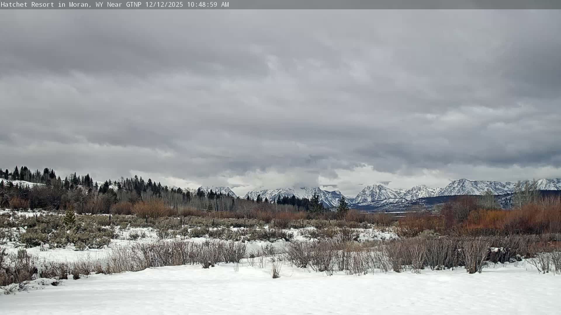Moran, Hatchet Campground Live Cam - Moran, Teton, Wyoming, USA