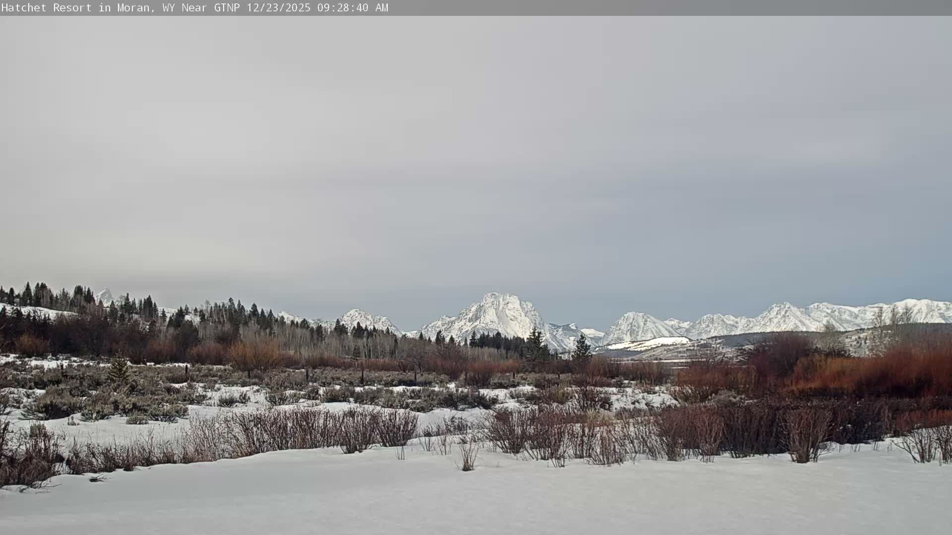 Moran, Hatchet Campground Live Cam - Moran, Teton, Wyoming, USA