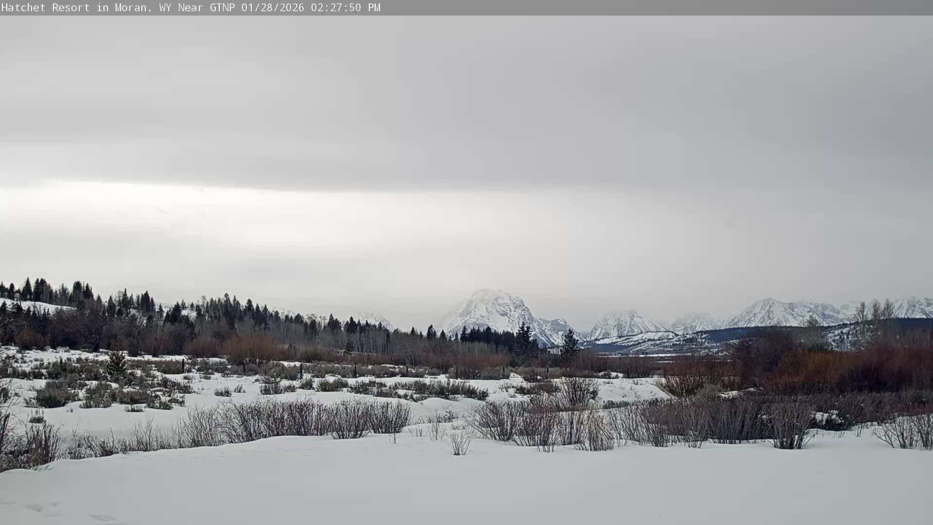 Moran, Hatchet Campground Live Cam - Moran, Teton, Wyoming, USA