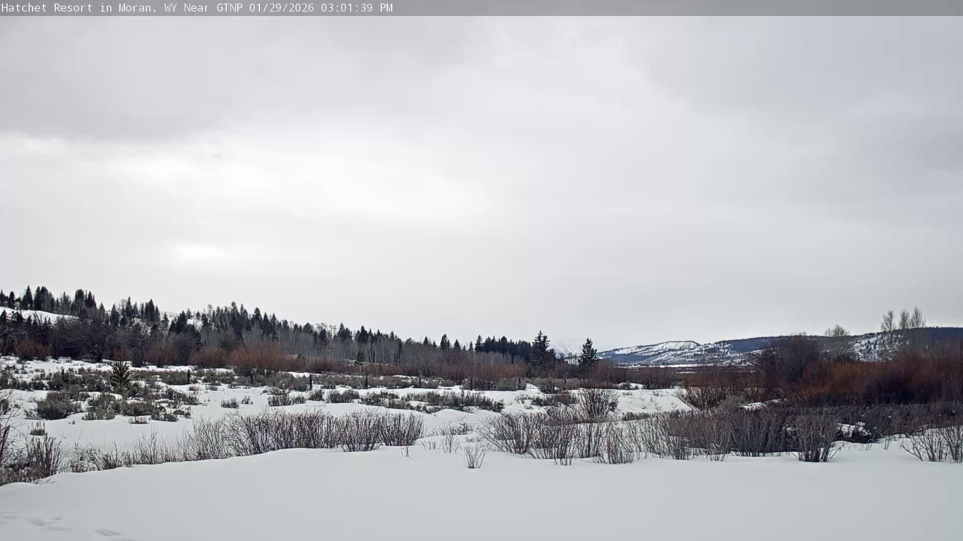 Moran, Hatchet Campground Live Cam - Moran, Teton, Wyoming, USA