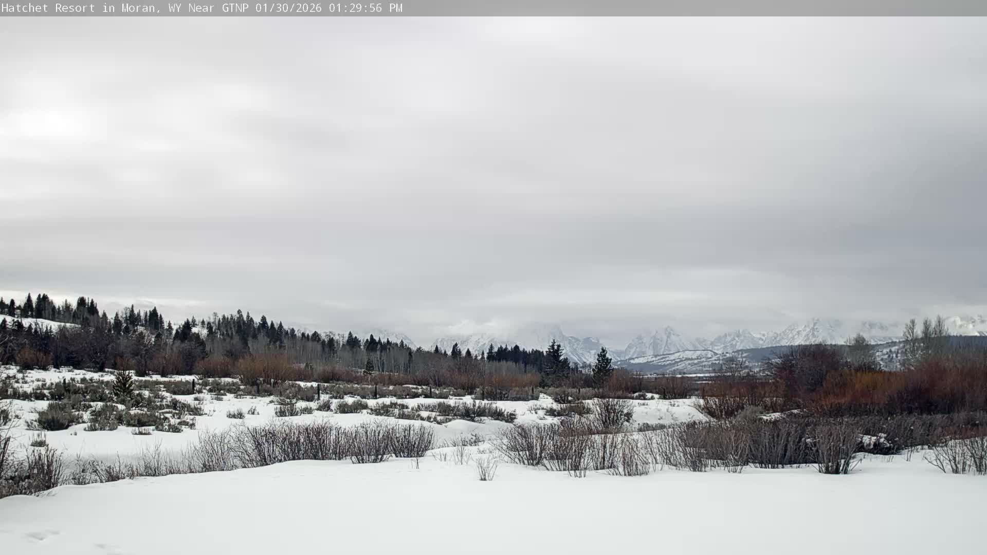 Moran, Hatchet Campground Live Cam - Moran, Teton, Wyoming, USA