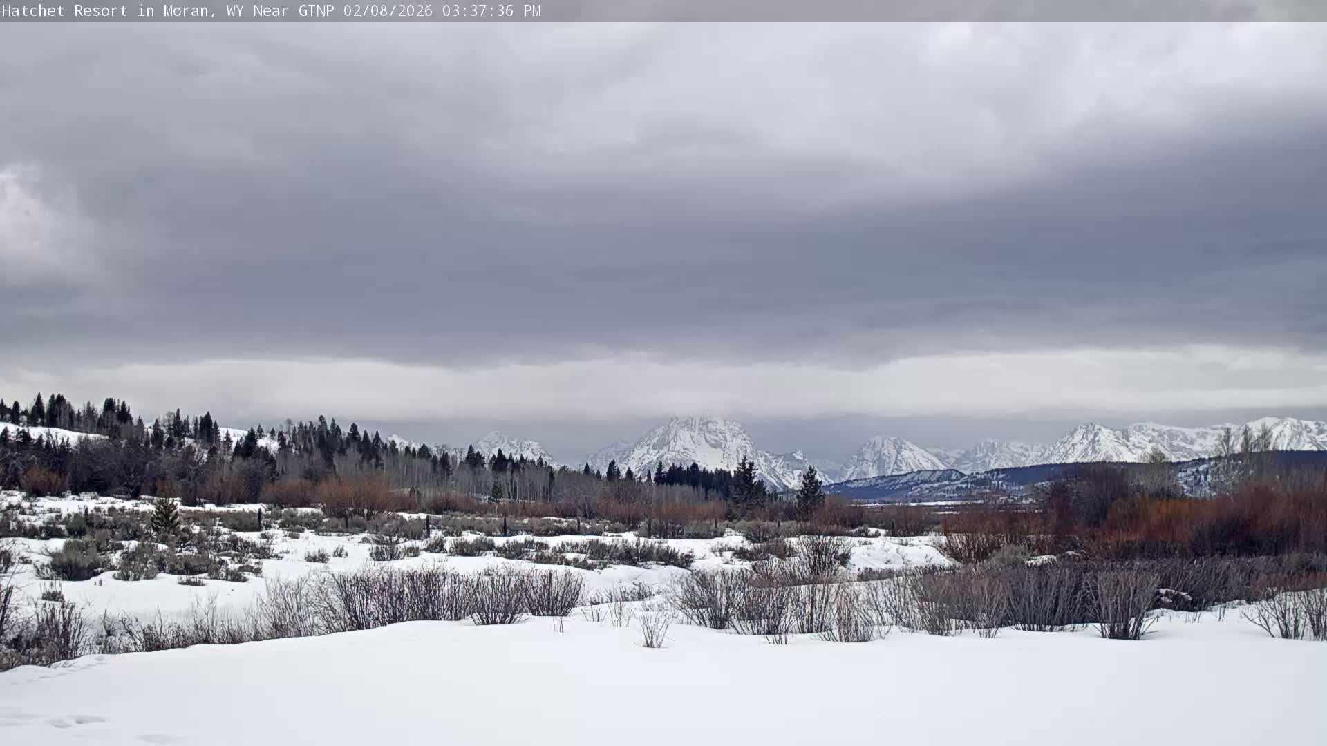 Moran, Hatchet Campground Live Cam - Moran, Teton, Wyoming, USA