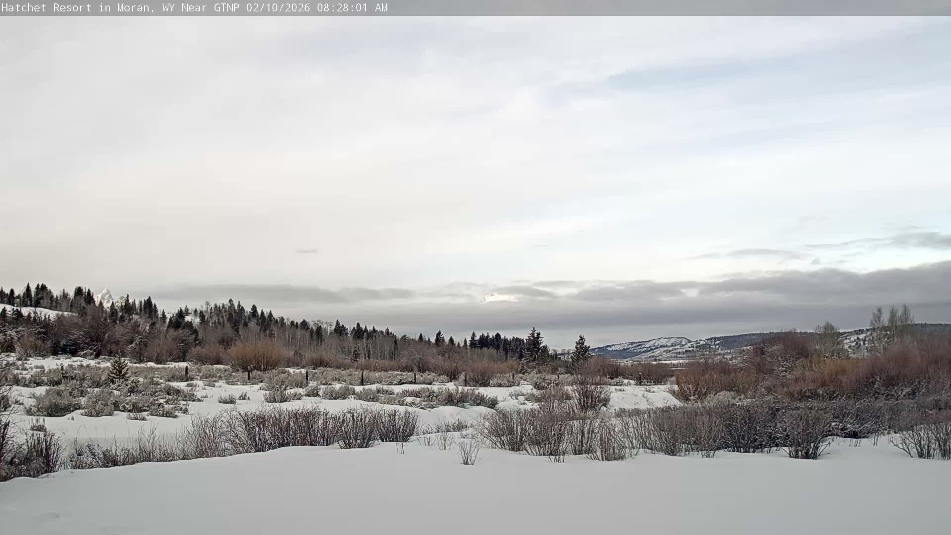 Moran, Hatchet Campground Live Cam - Moran, Teton, Wyoming, USA