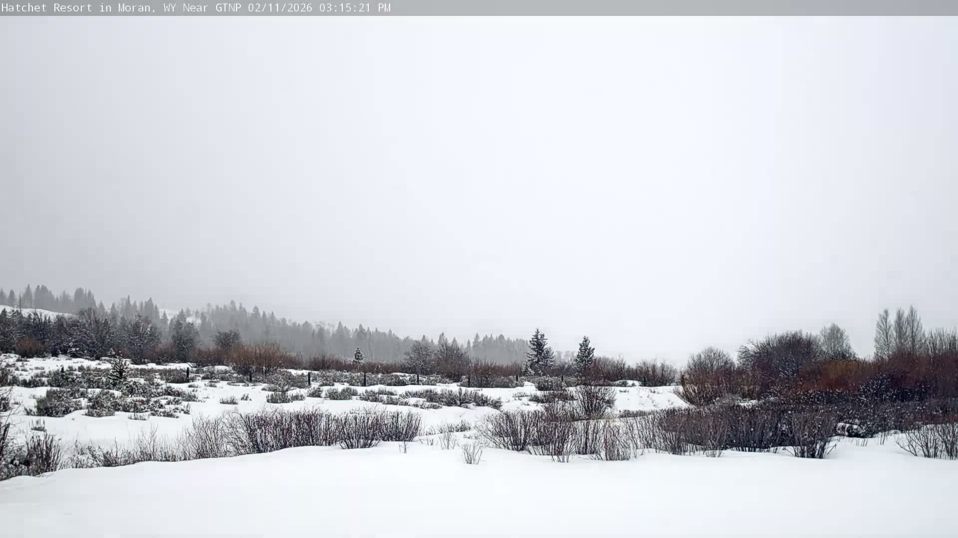 Moran, Hatchet Campground Live Cam - Moran, Teton, Wyoming, USA