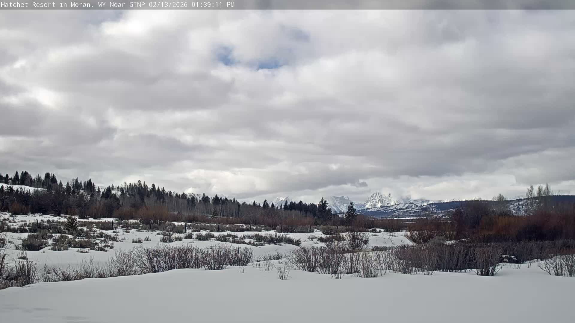 Moran, Hatchet Campground Live Cam - Moran, Teton, Wyoming, USA