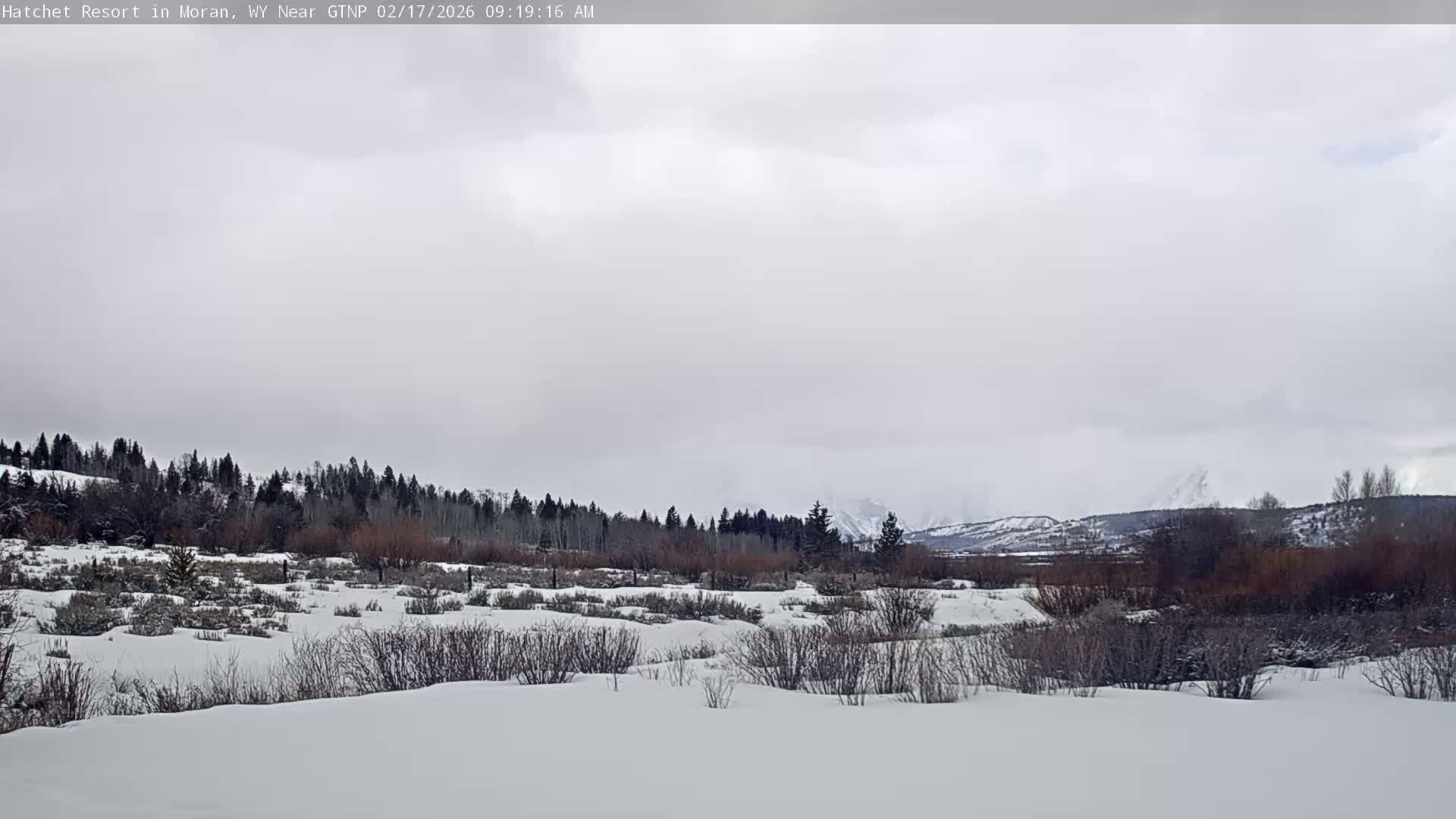 Moran, Hatchet Campground Live Cam - Moran, Teton, Wyoming, USA