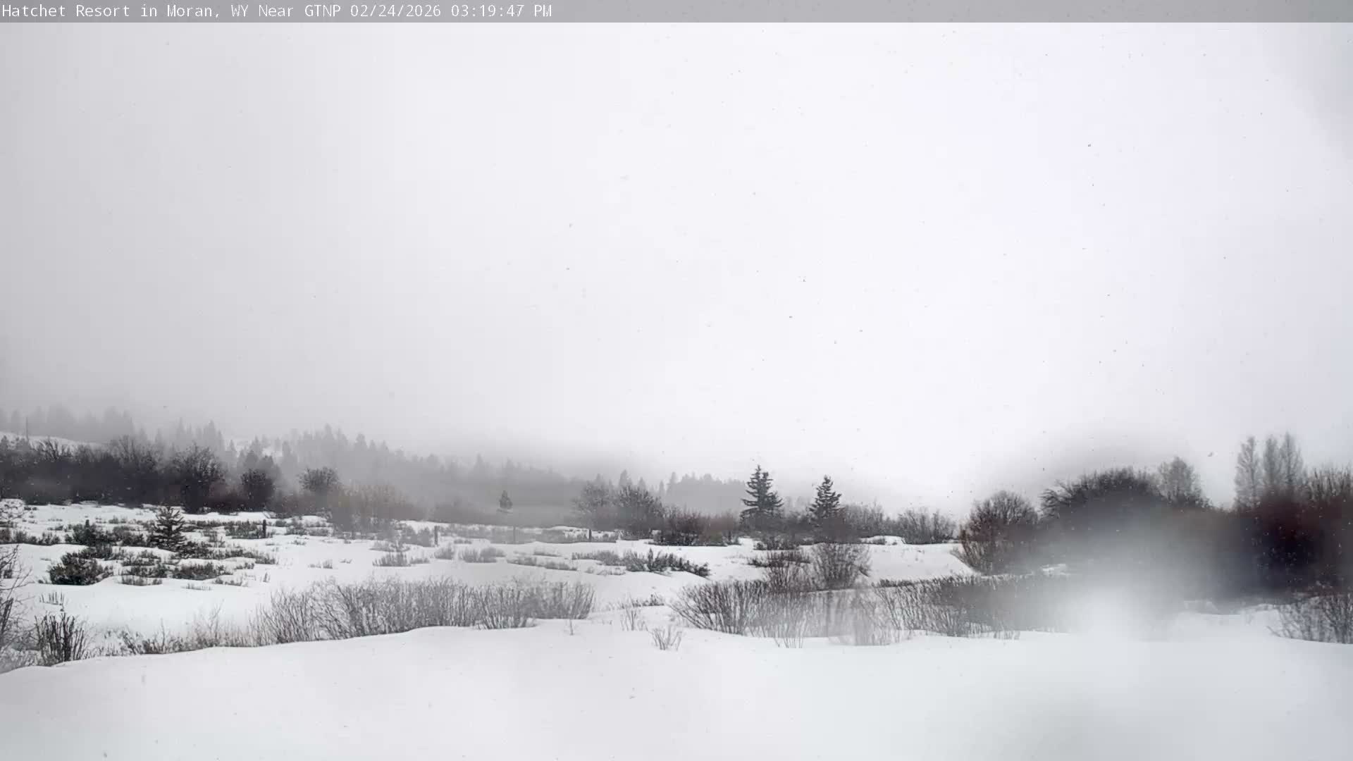 Moran, Hatchet Campground Live Cam - Moran, Teton, Wyoming, USA