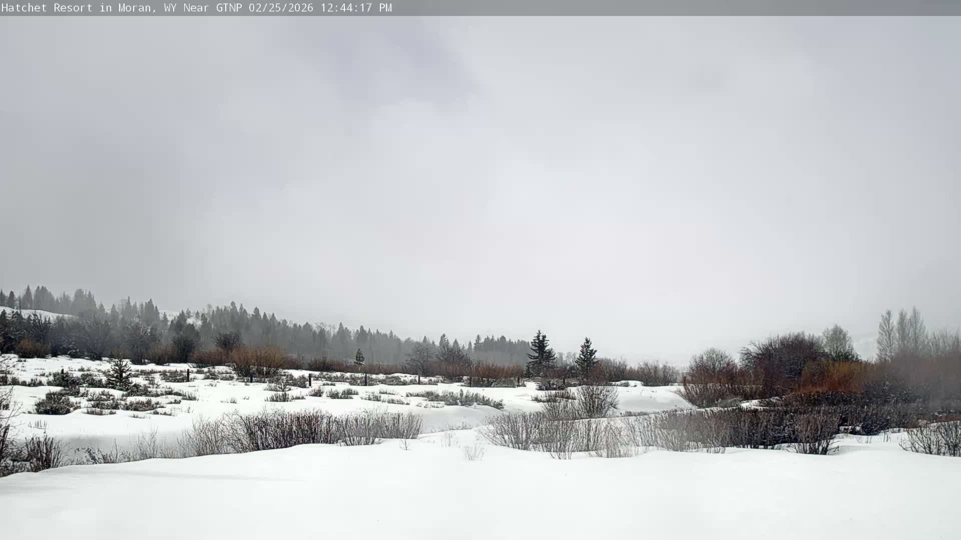 Moran, Hatchet Campground Live Cam - Moran, Teton, Wyoming, USA