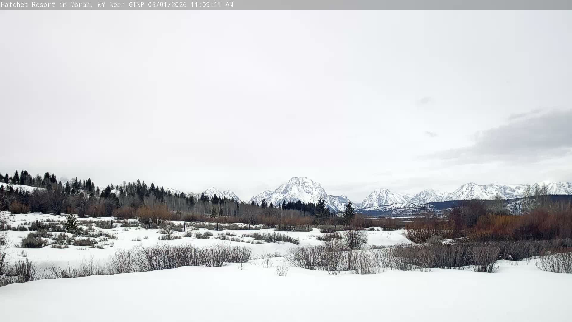 Moran, Hatchet Campground Live Cam - Moran, Teton, Wyoming, USA