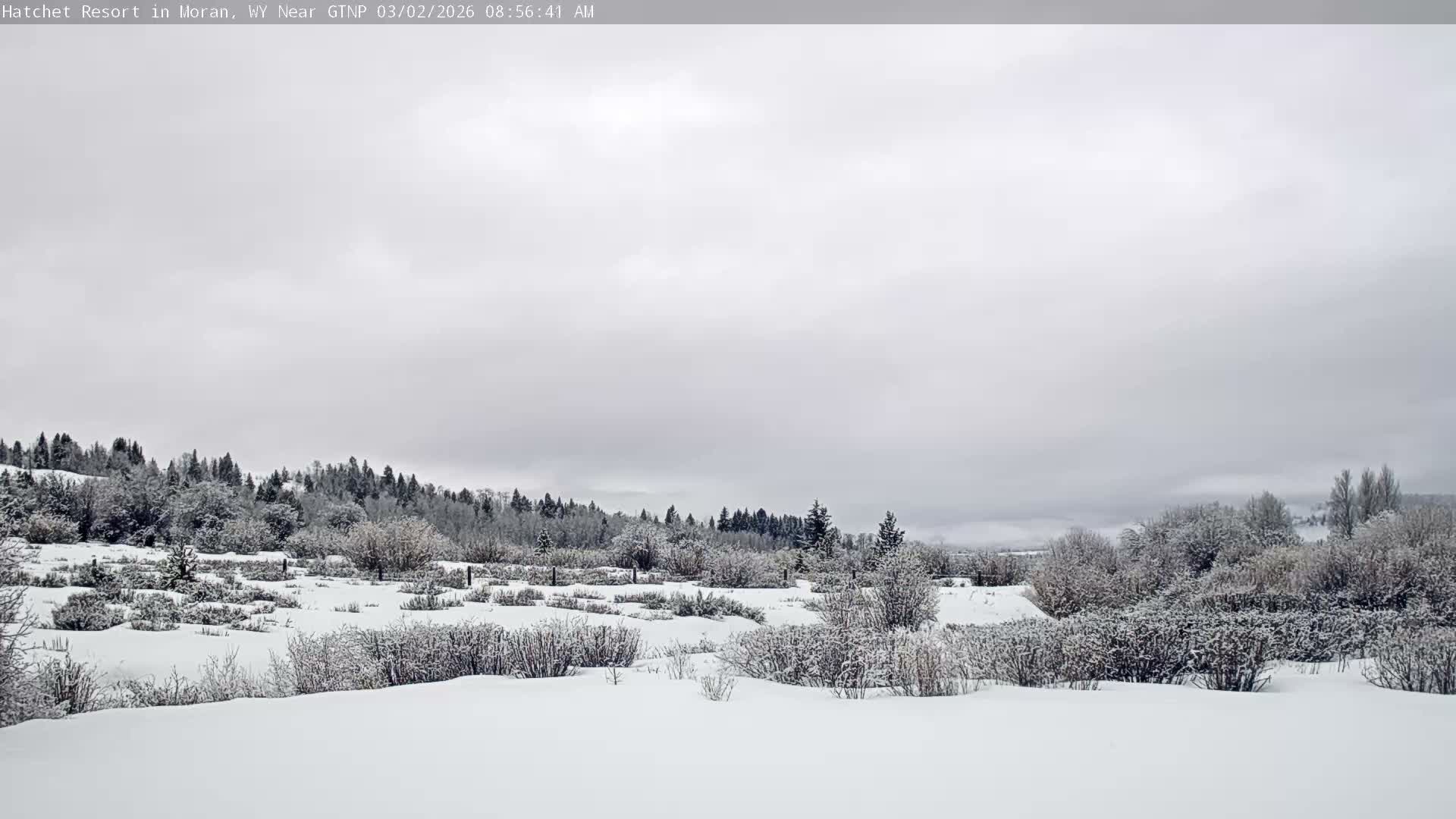 Moran, Hatchet Campground Live Cam - Moran, Teton, Wyoming, USA
