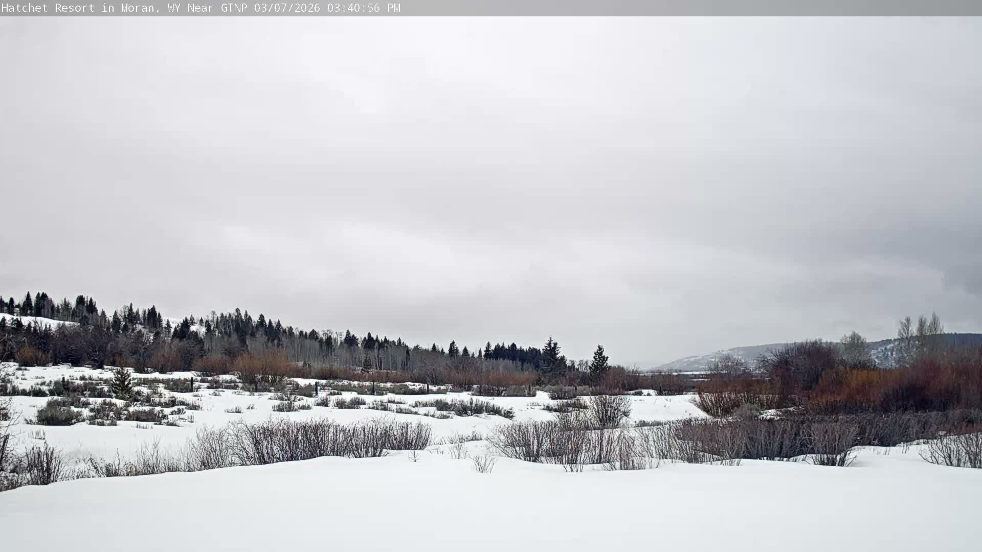 Moran, Hatchet Campground Live Cam - Moran, Teton, Wyoming, USA