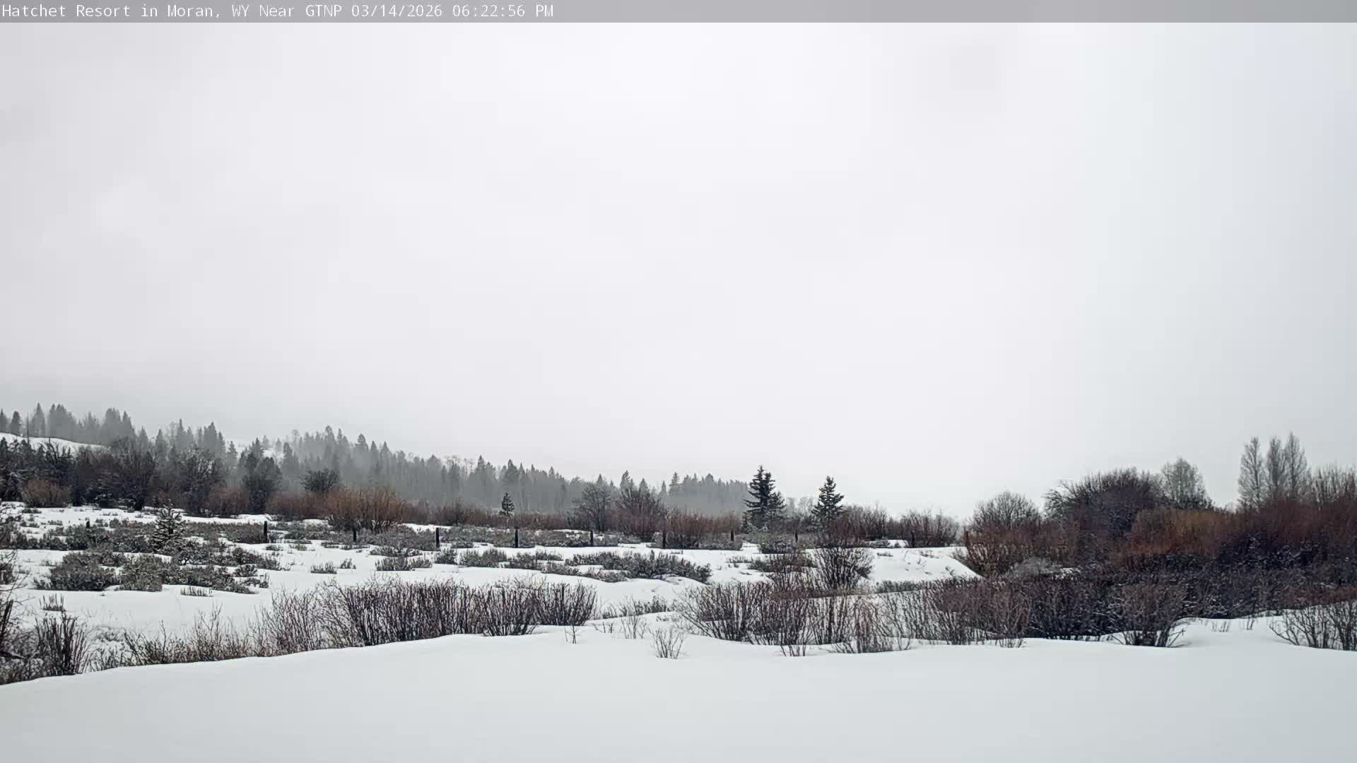 Moran, Hatchet Campground Live Cam - Moran, Teton, Wyoming, USA