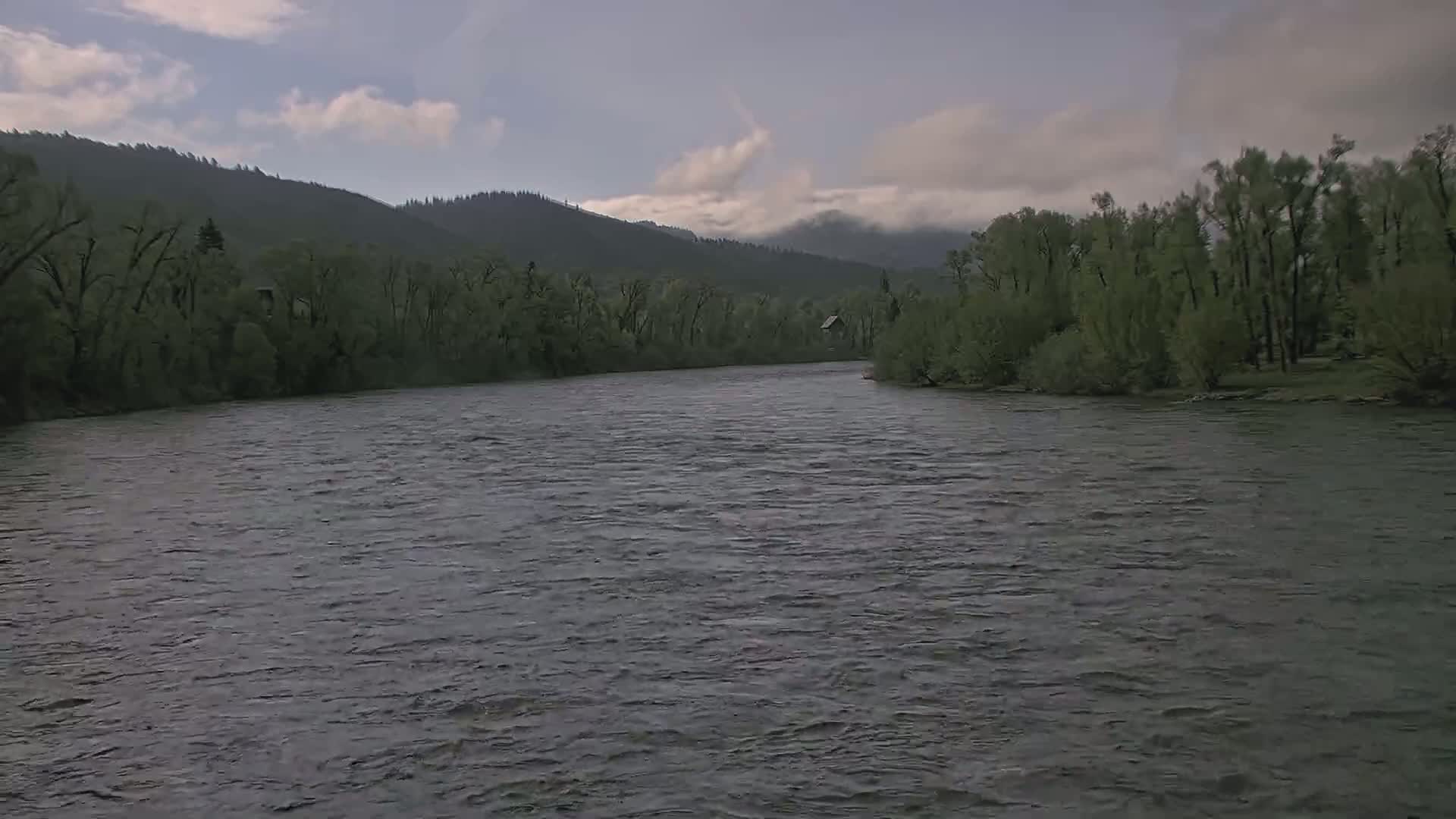 A wide, gently flowing river curves through a landscape of dark green trees and partly cloudy skies.