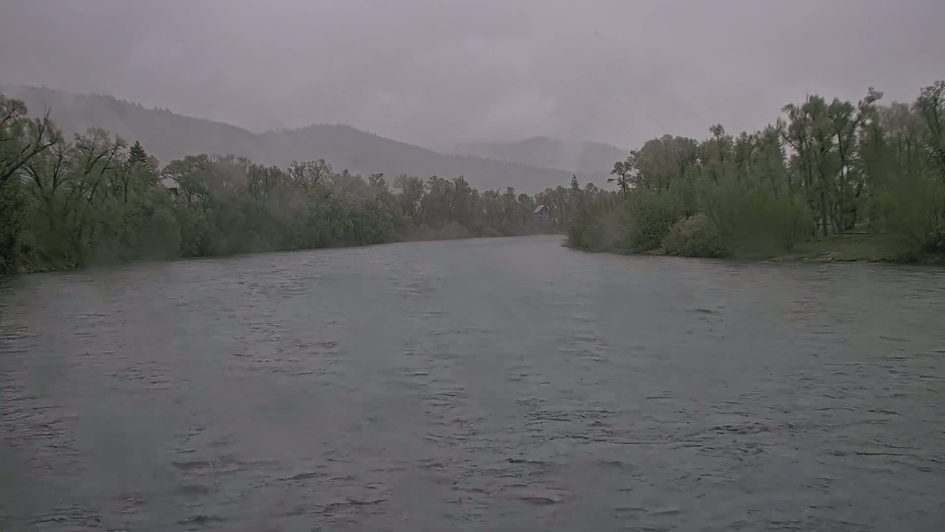 A wide, gray river flows past a line of trees and hills under an overcast sky.