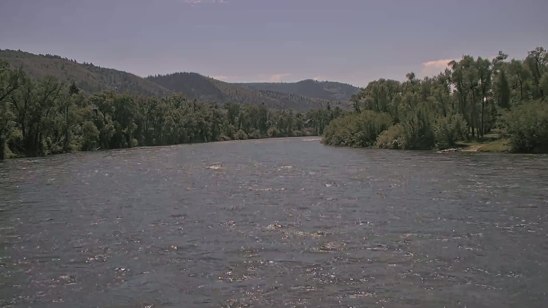 A wide, gently flowing river under a mostly clear sky is bordered by lush green trees and rolling hills.