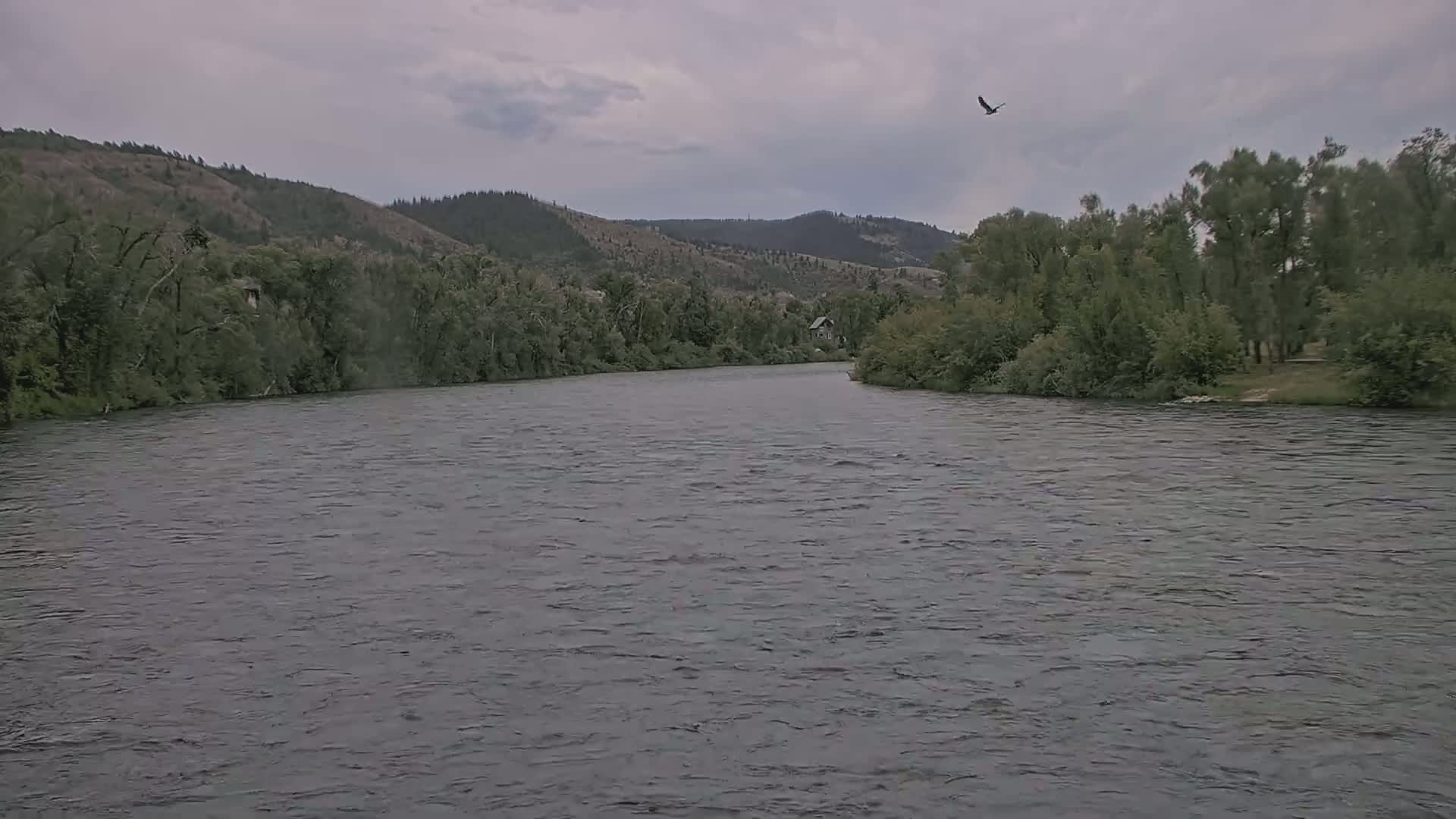 South Fork (Snake) River View from The Lodge at Palisades Creek Live Cam - Irwin, Bonneville, Idaho, USA