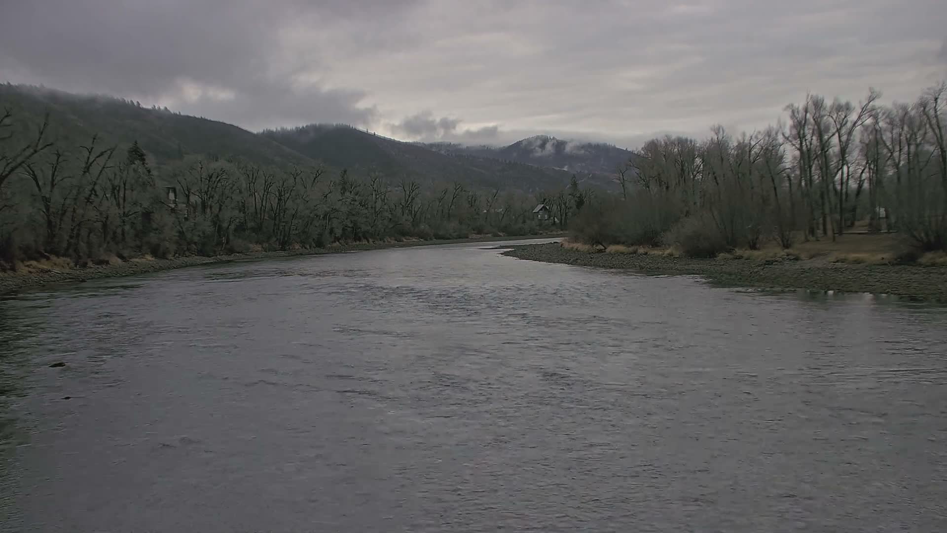 A blurry, low-light outdoor image at night shows a dark, flat foreground leading to a line of silhouetted trees against a hazy, greenish-gray sky with a bright, distant light source.