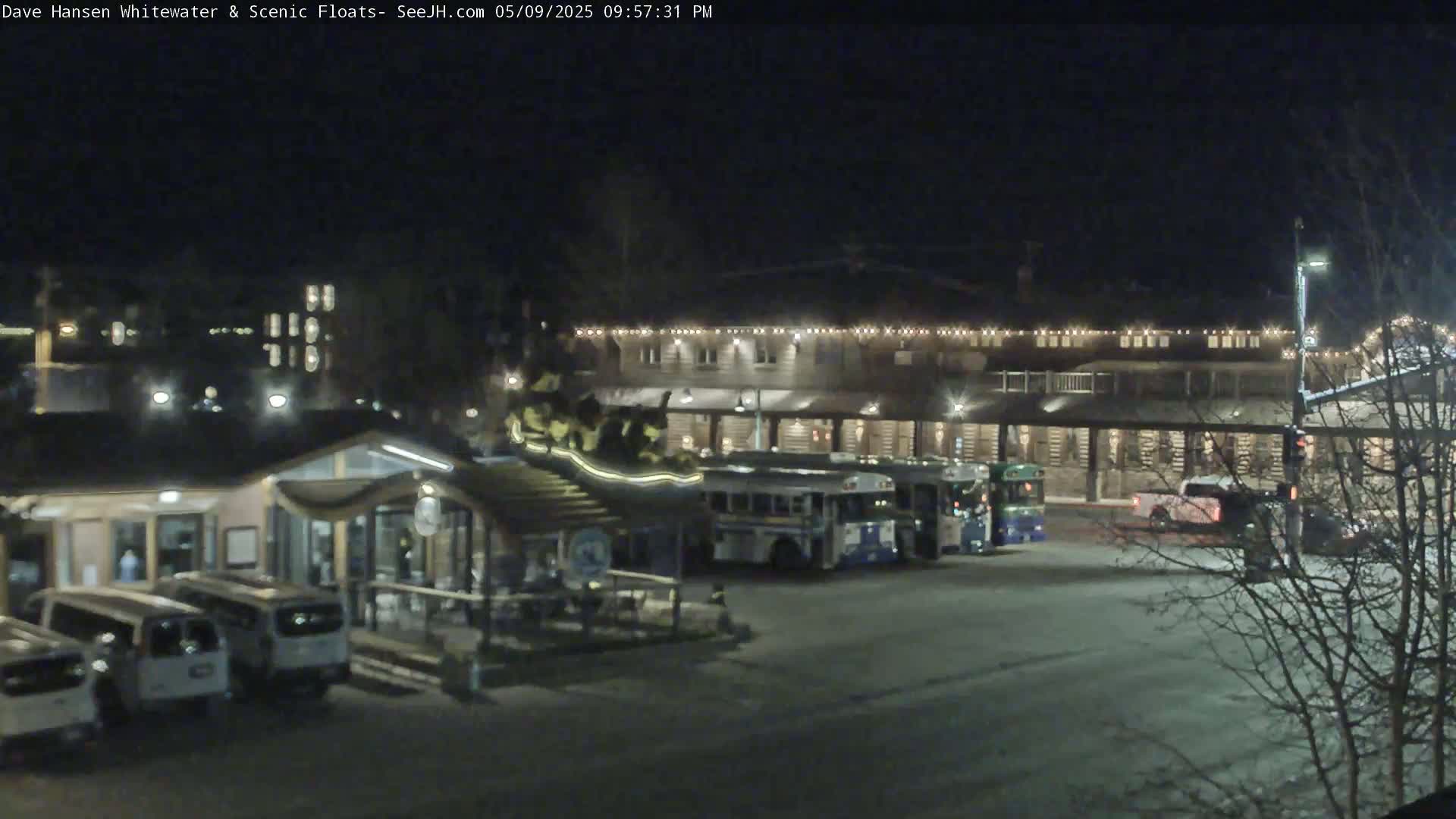 At night, several buses and vans are parked in a lot next to a building with string lights.