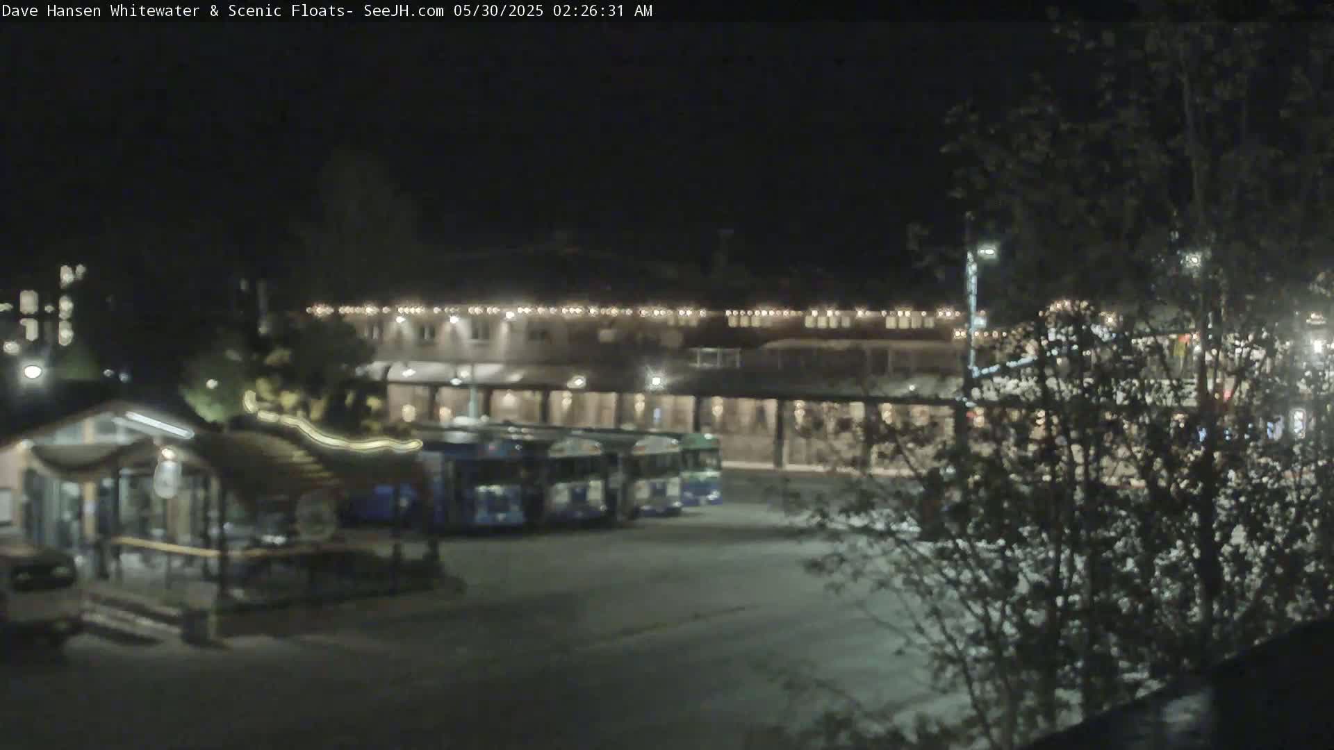 At night, several buses are parked in a lot near a building with lights strung across its facade, partially obscured by trees.