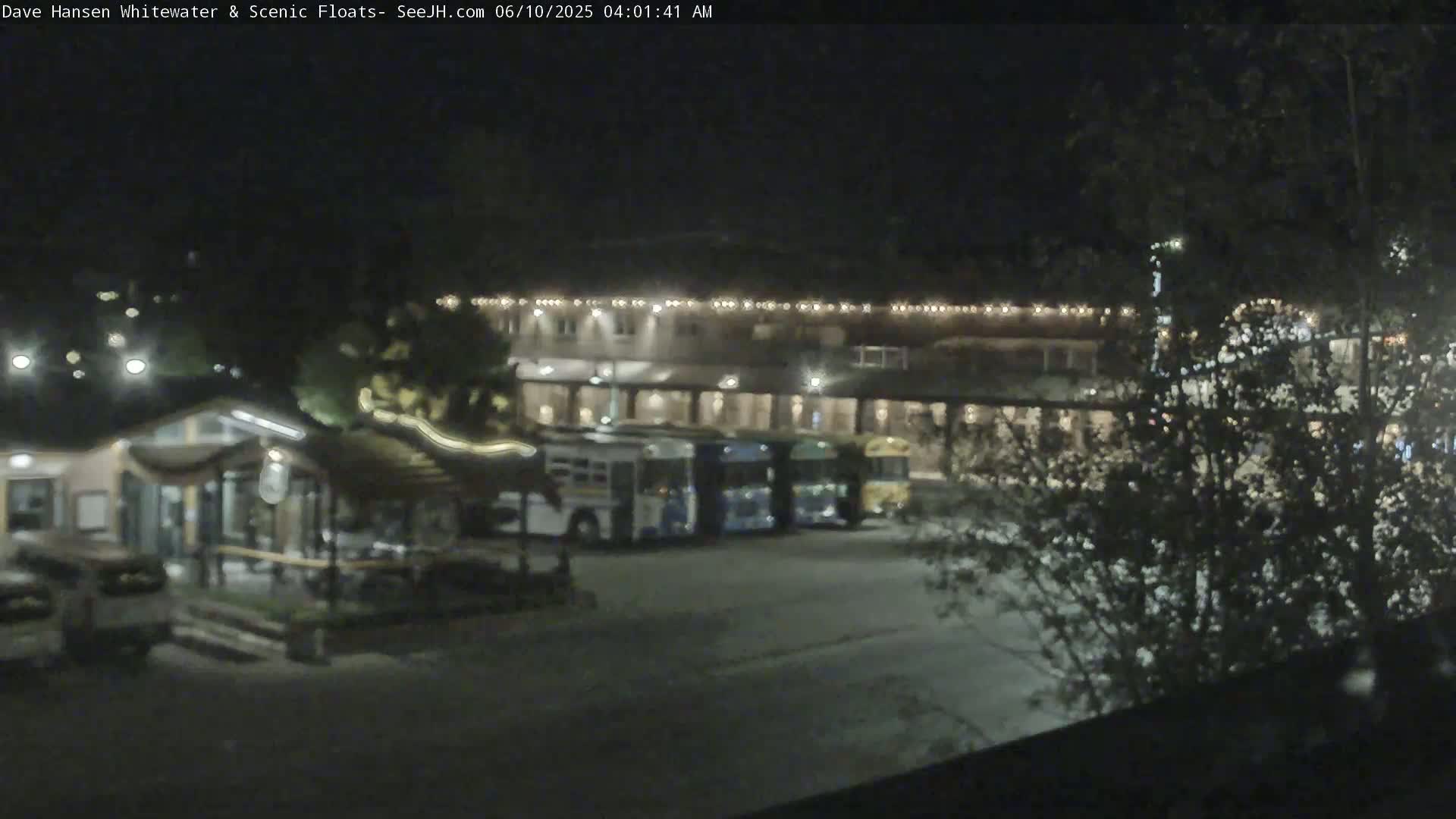 At night, several buses are parked in front of a building illuminated with lights, partially obscured by trees and bushes.