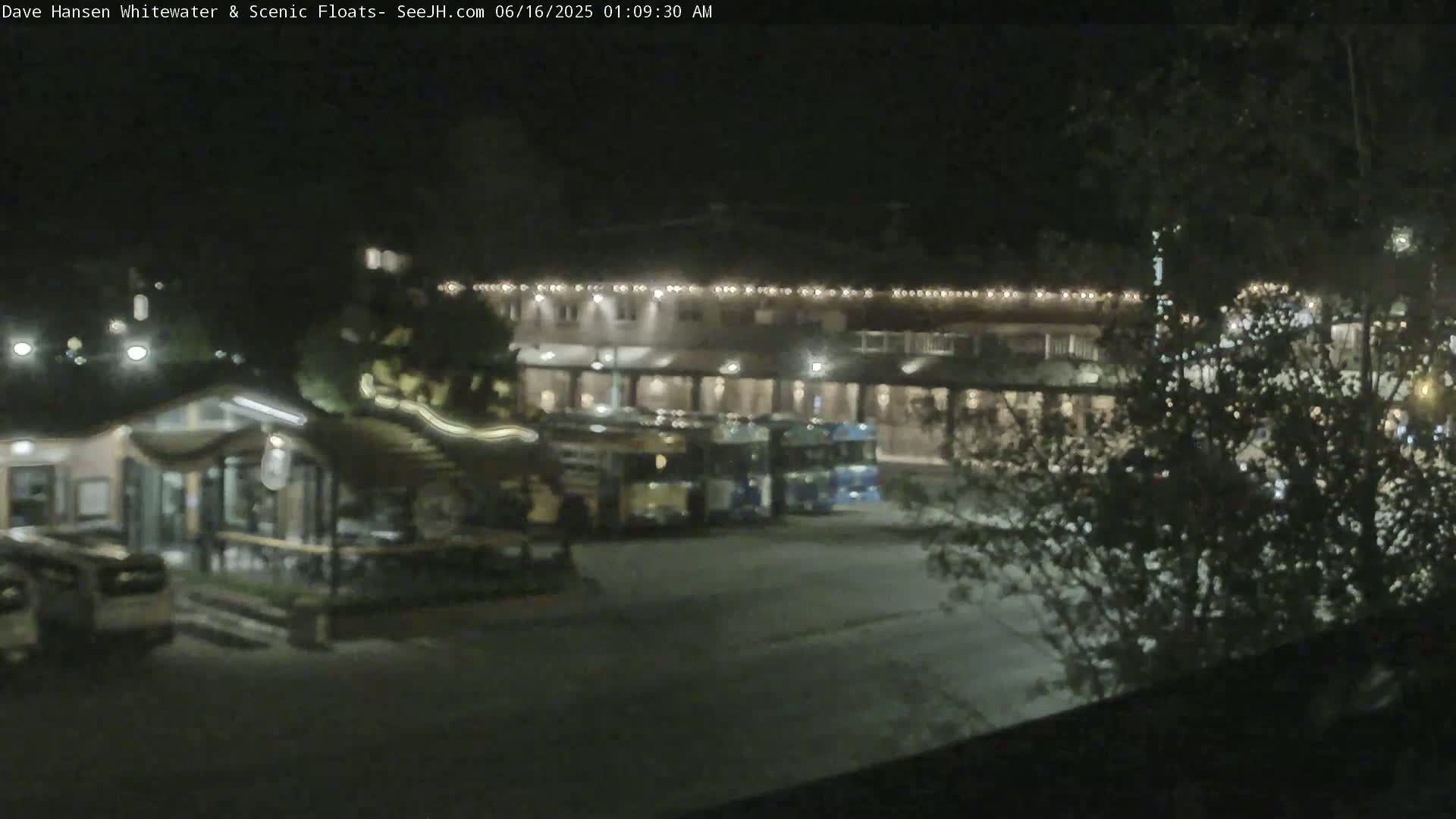 At night, several buses are parked in a lot near a building with string lights, partially obscured by trees.