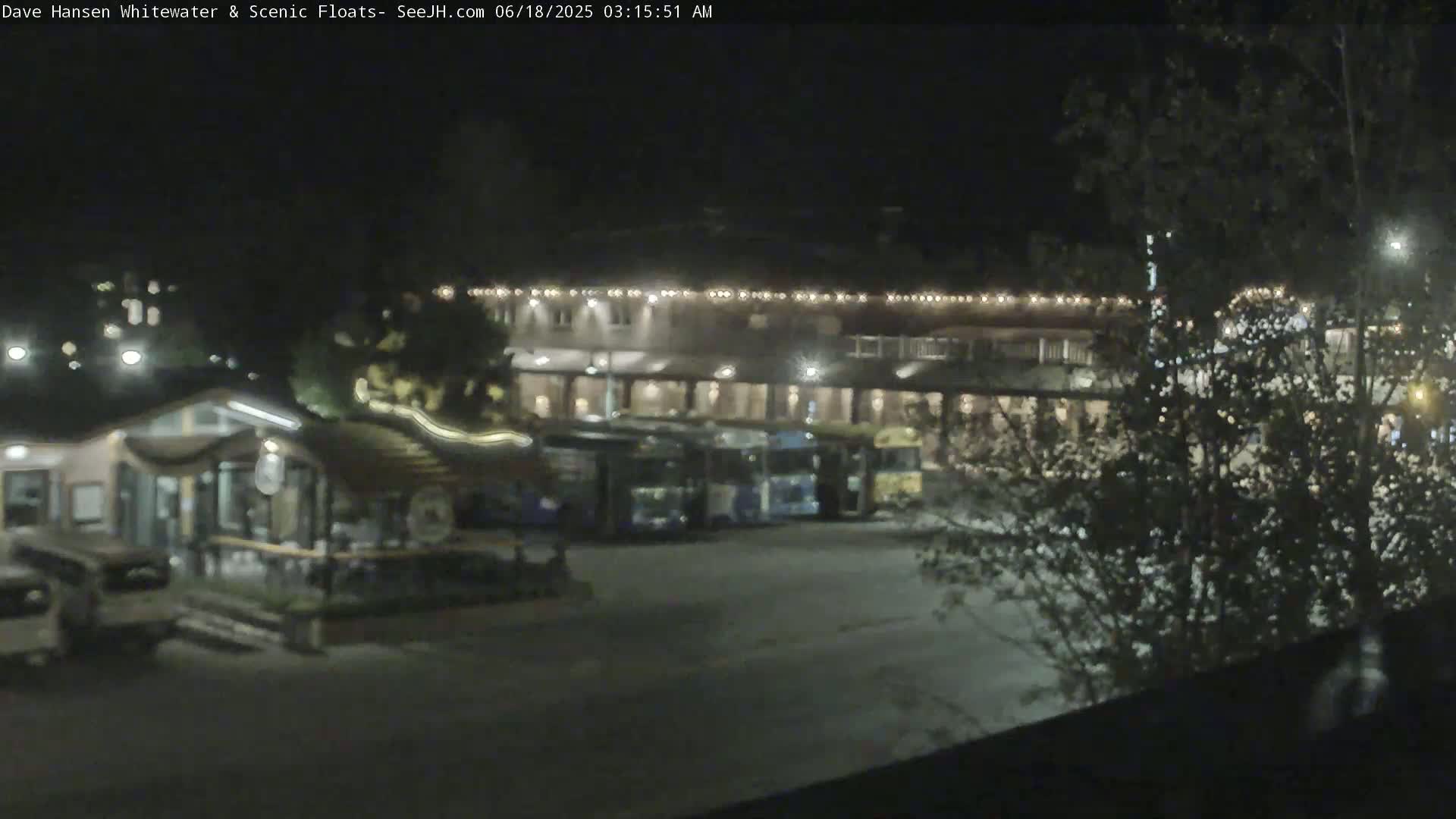 At night, several buses are parked in a lot next to a building with lights strung across its facade, all surrounded by trees.