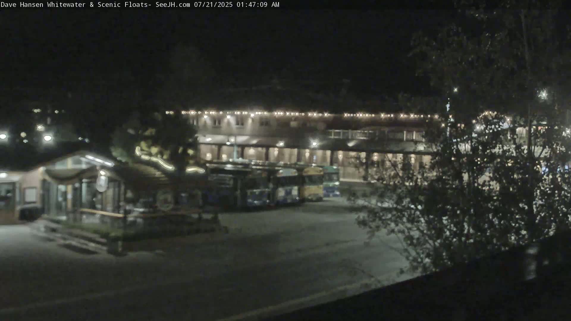 At night, several buses are parked in front of a building with lights on, partially obscured by trees.