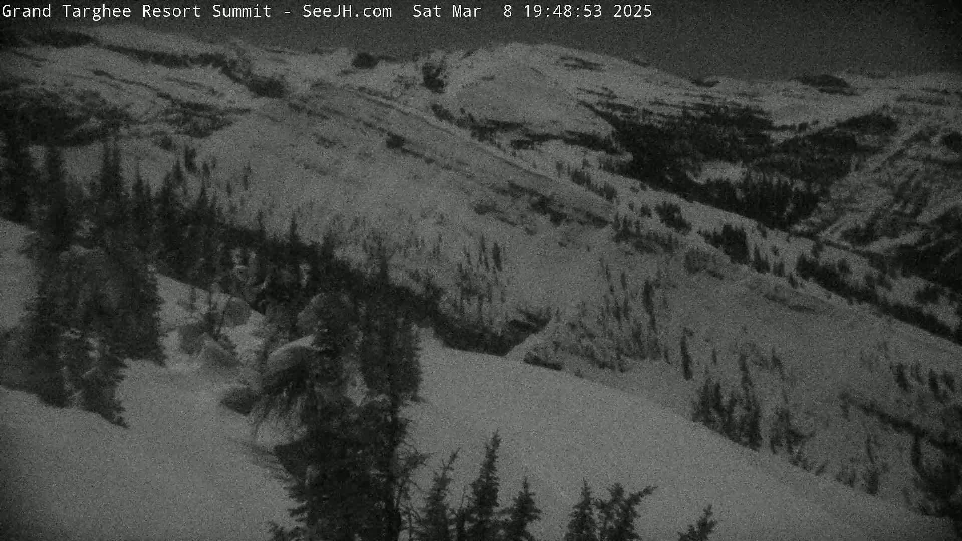 A nighttime, snow-covered mountain slope with dark evergreen trees is visible under a dark sky.