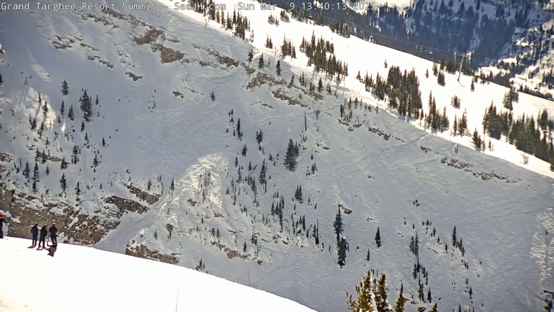 A snowy mountain slope with scattered evergreen trees and a small group of people near the bottom, under sunny conditions.