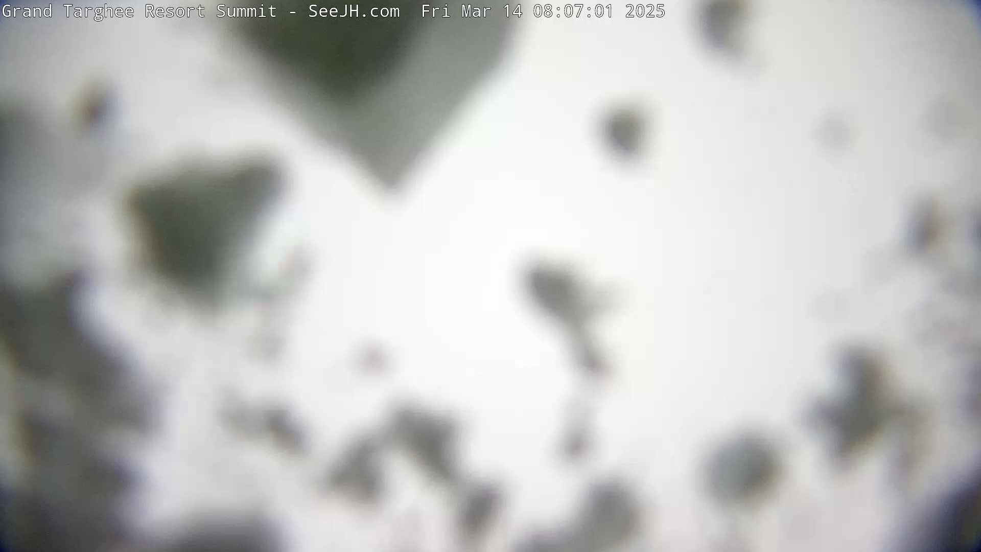 A blurry, out-of-focus image shows indistinct gray shapes scattered on a white background.