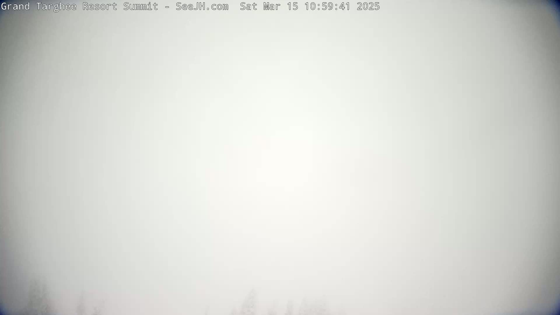 A mostly white, hazy, or foggy scene is visible, with the faint suggestion of trees at the very bottom.