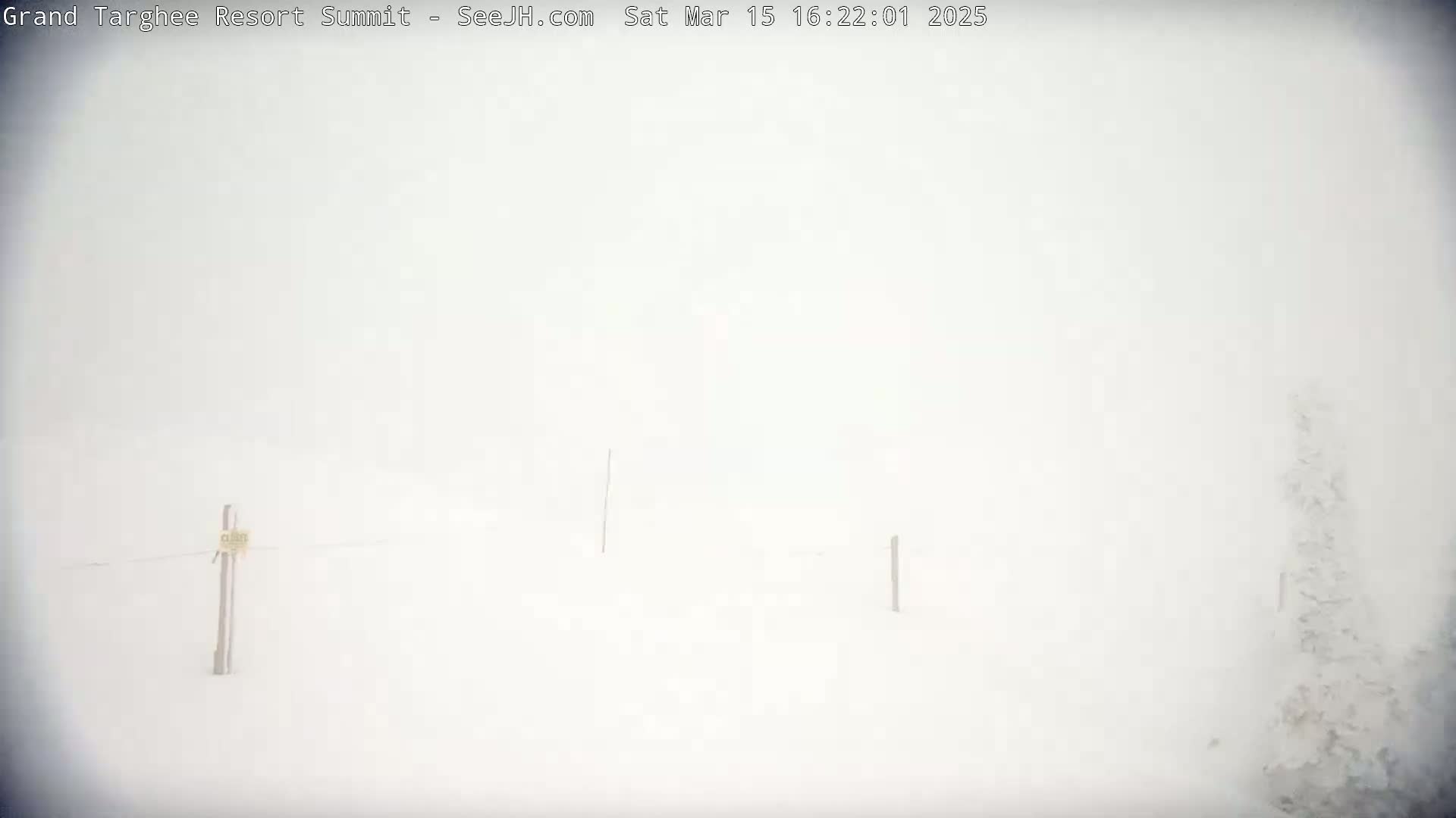 A snow-covered landscape is barely visible through a heavy snowstorm.