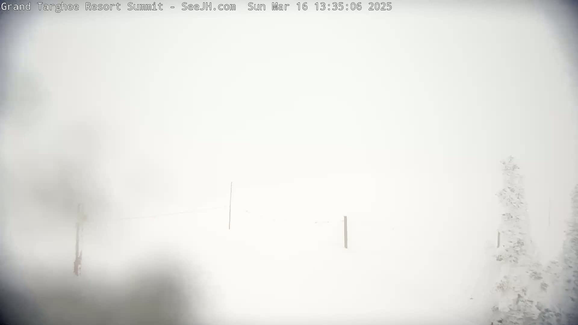 A snow-covered landscape is barely visible through heavy snowfall.