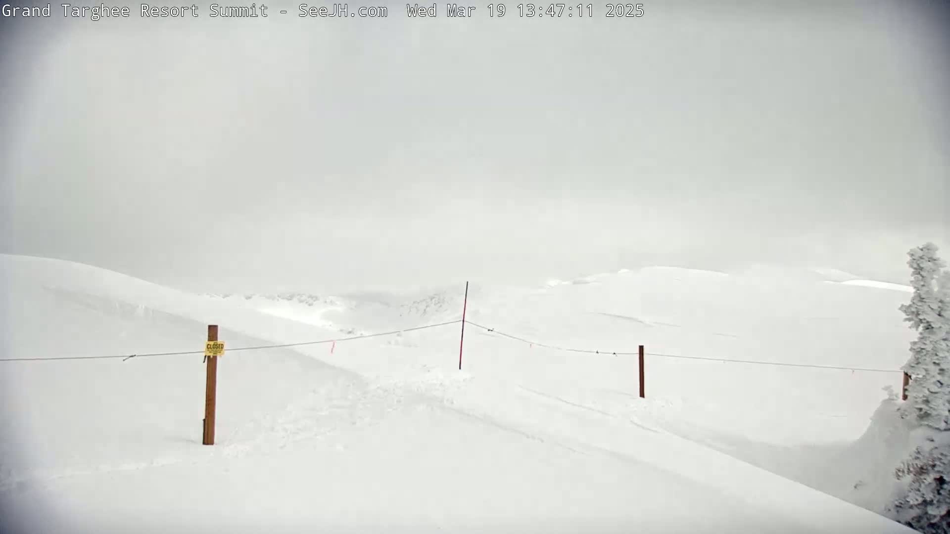 A snow-covered landscape with a thin wire strung between wooden posts under overcast skies.