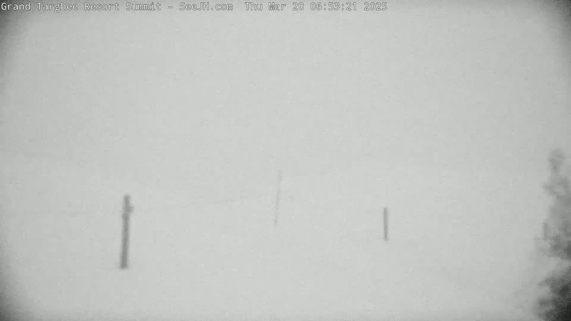 A snowy, overcast scene shows three thin, dark vertical posts in the mid-ground and a blurry suggestion of trees on the right edge.